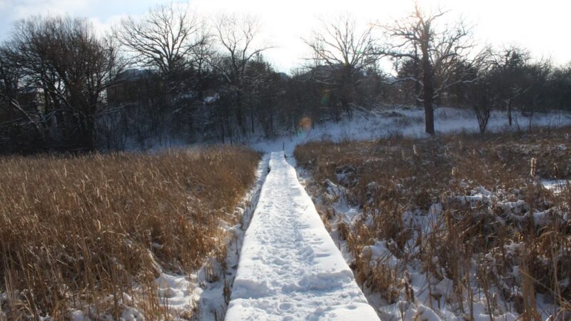 Maple Wayside - Hartland, WI