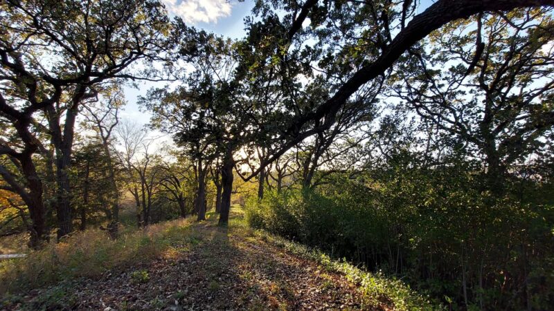 Maple Wayside - Hartland, WI