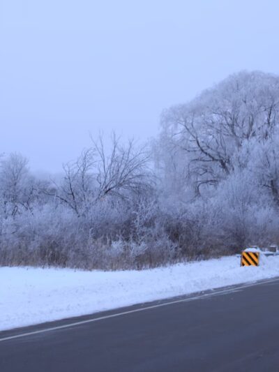 Maple Wayside - Hartland, WI