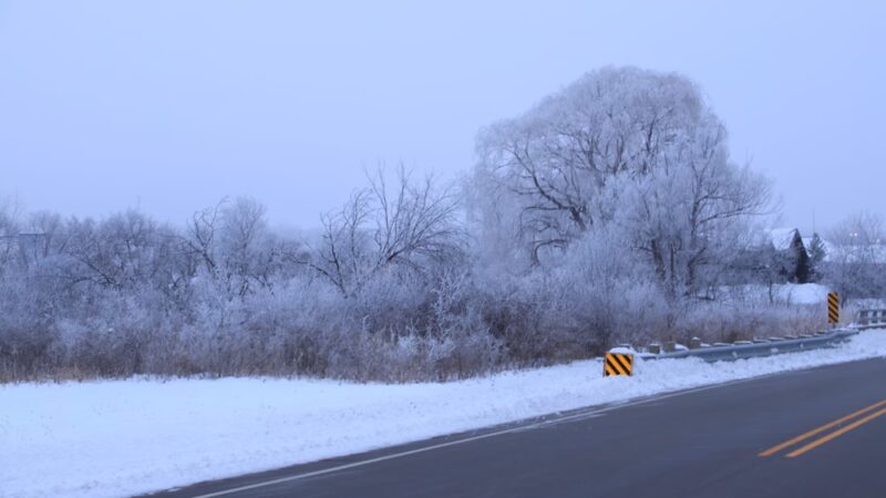 Maple Wayside - Hartland, WI