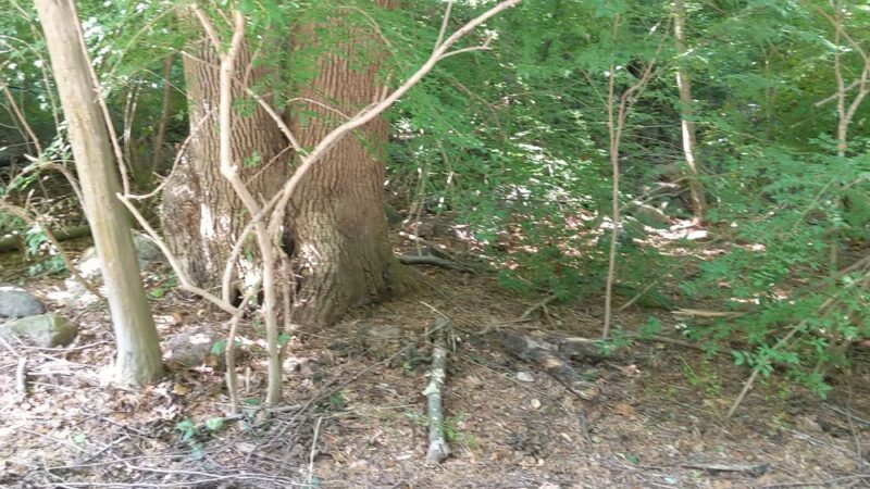 Ridge Road Park - Hartsdale, NY