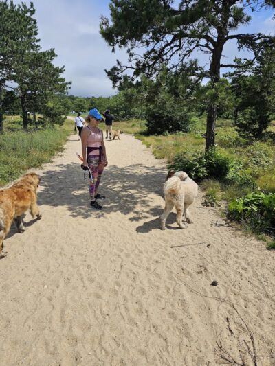 Thompson's Field - Harwich, MA