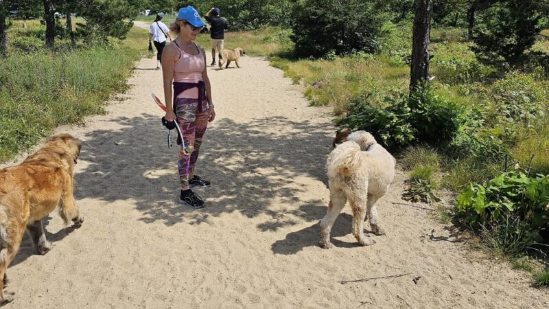 Thompson's Field - Harwich, MA