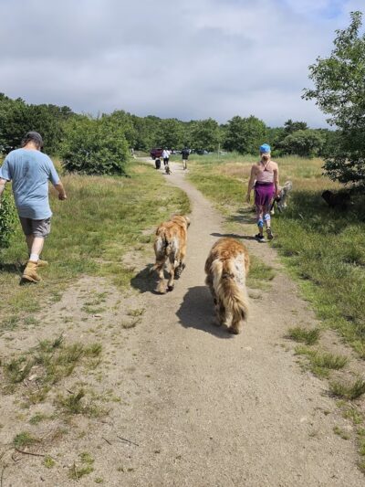 Thompson's Field - Harwich, MA