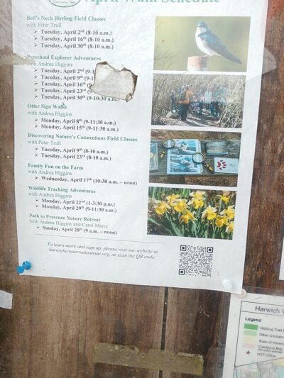 Thompson's Field - Harwich, MA