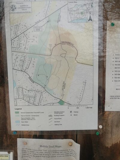 Thompson's Field - Harwich, MA