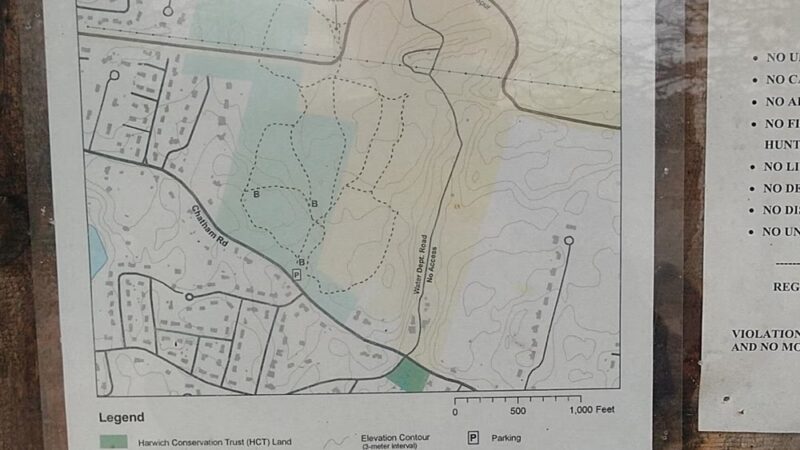 Thompson's Field - Harwich, MA