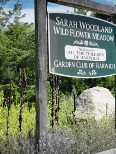 Thompson's Field Conservation Area - Harwich, MA