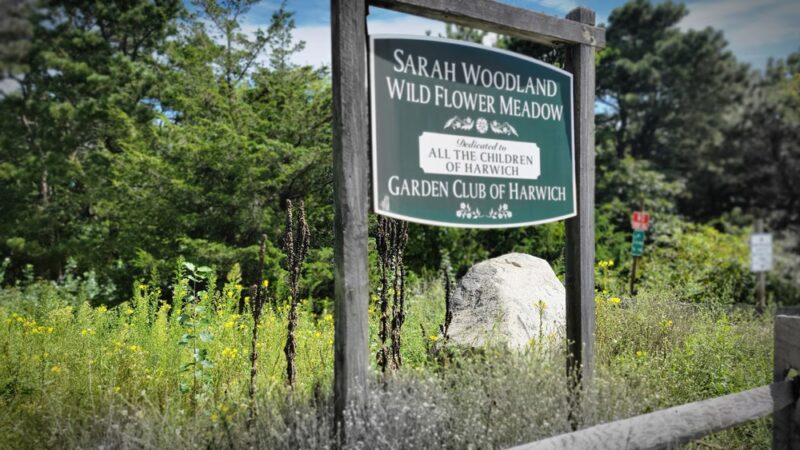 Thompson's Field Conservation Area - Harwich, MA