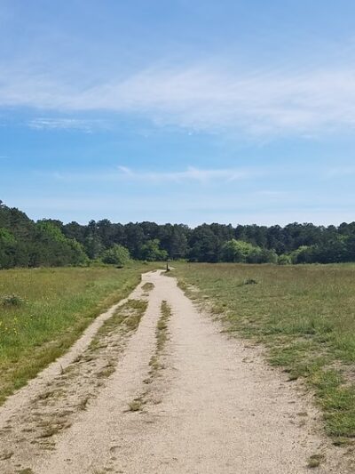 Thompson's Field Conservation Area - Harwich, MA