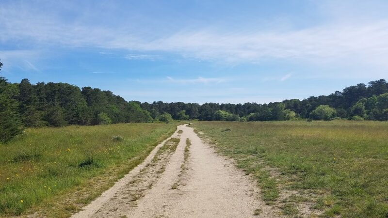 Thompson's Field Conservation Area - Harwich, MA