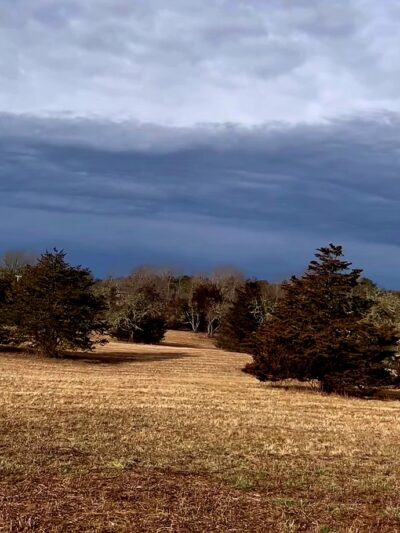 Thompson's Field Conservation Area - Harwich, MA