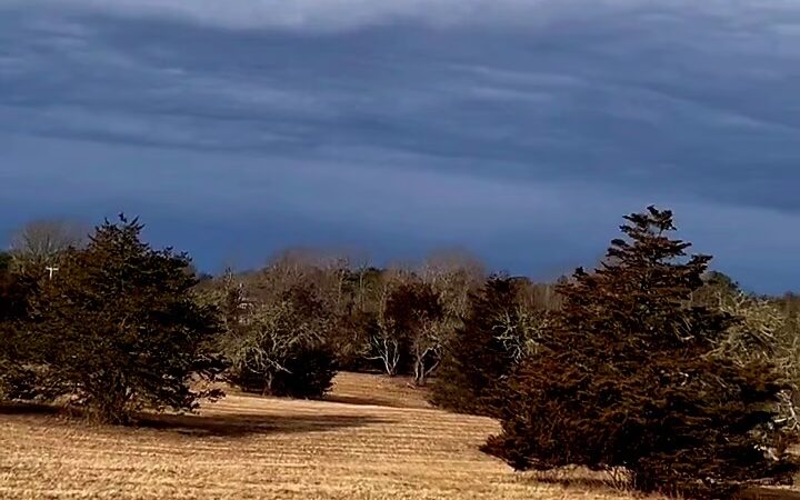 Thompson's Field Conservation Area - Harwich, MA