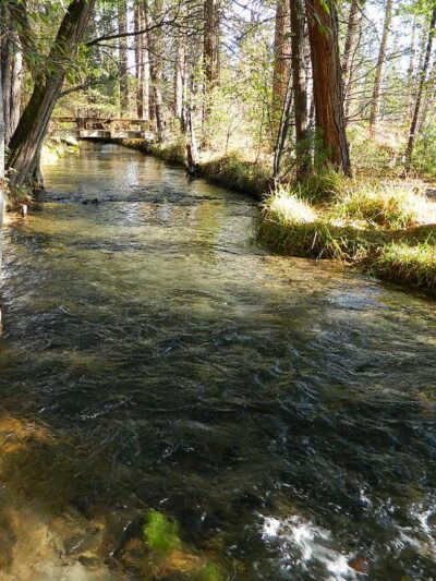 Honn Campground - Hat Creek, CA