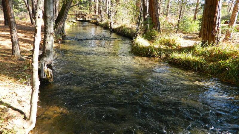 Honn Campground - Hat Creek, CA