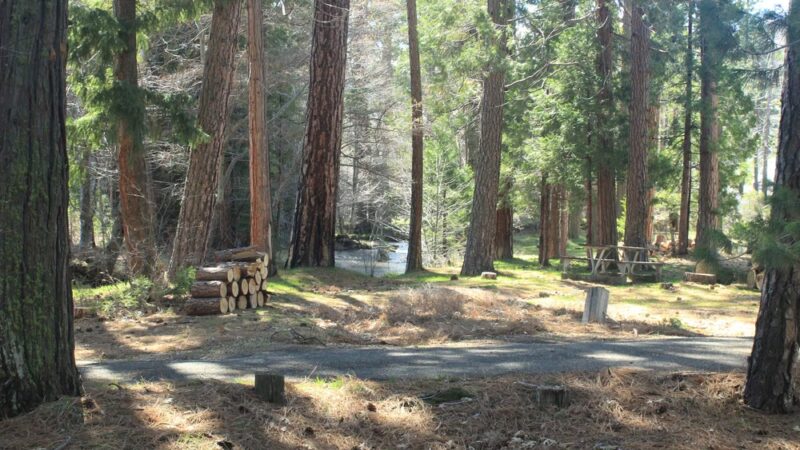 Honn Campground - Hat Creek, CA