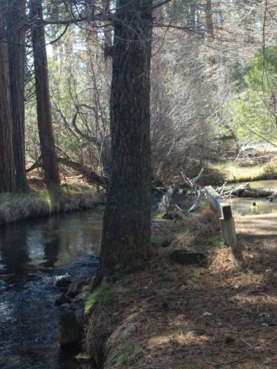 Honn Campground - Hat Creek, CA