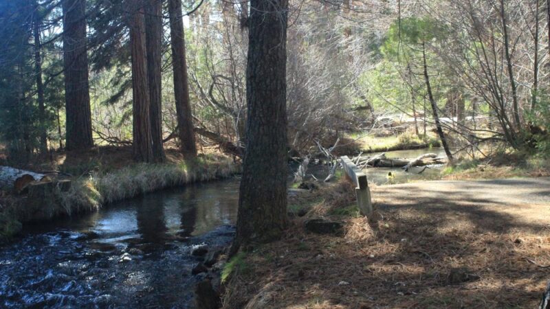 Honn Campground - Hat Creek, CA