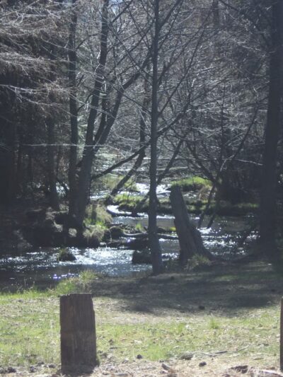 Honn Campground - Hat Creek, CA