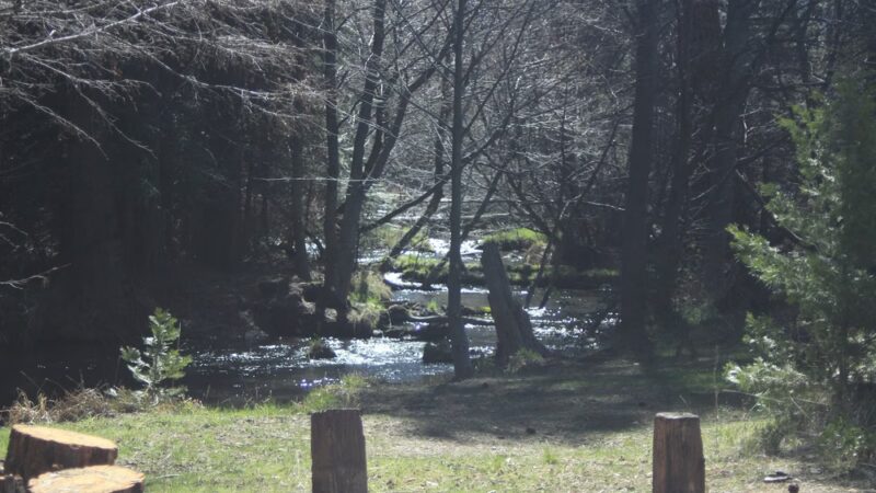 Honn Campground - Hat Creek, CA
