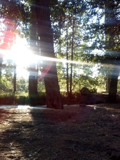 Honn Campground - Hat Creek, CA