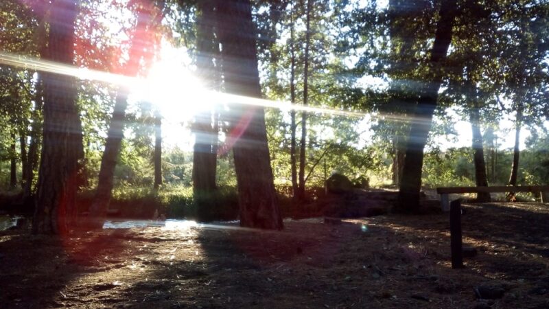 Honn Campground - Hat Creek, CA