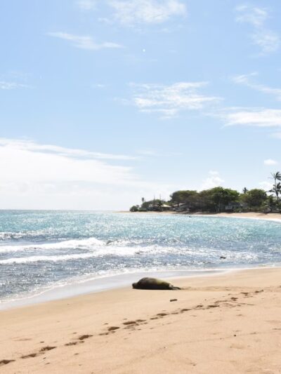 Hauʻula Park Playground - Hauula, HI