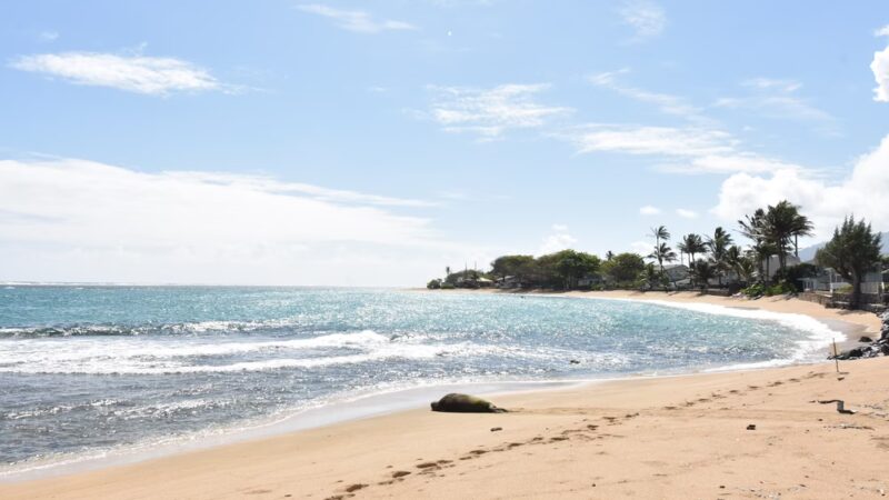 Hauʻula Park Playground - Hauula, HI