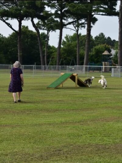 Havelock Dog Park - Havelock, NC