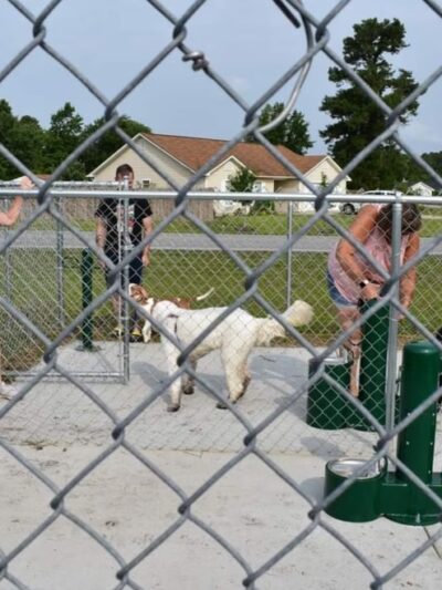 Havelock Dog Park - Havelock, NC