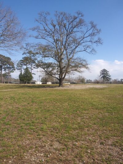 Nugent Cove Woof Spot Dog Park - Havelock, NC