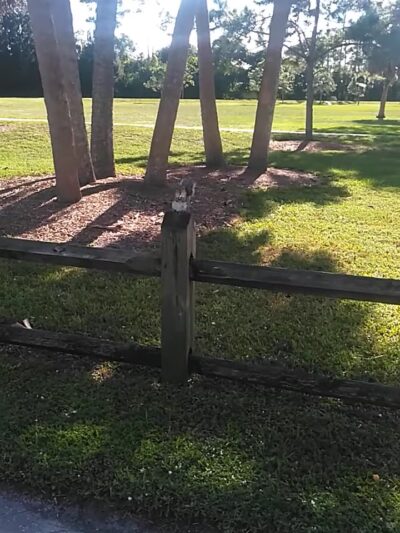 Haverhill Park - Haverhill, FL