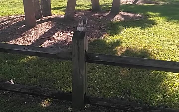 Haverhill Park - Haverhill, FL