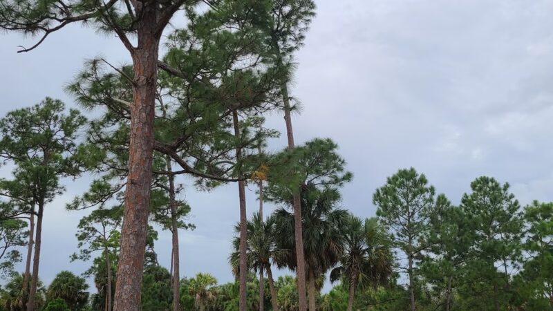 Haverhill Park - Haverhill, FL