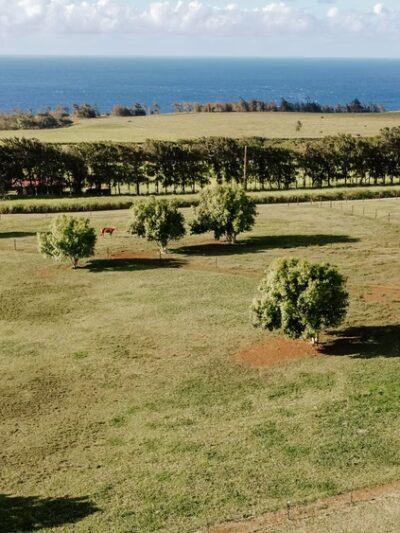 Hawi Nani Ranch - Hawi, HI