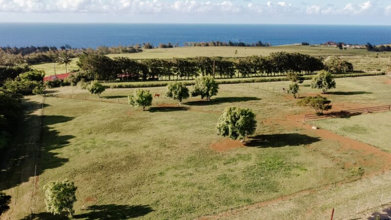 Hawi Nani Ranch - Hawi, HI