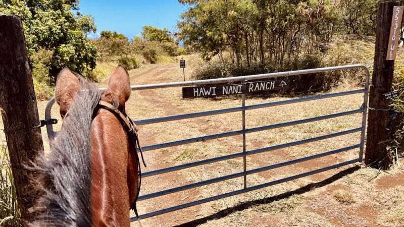 Hawi Nani Ranch - Hawi, HI