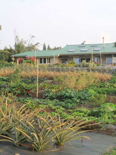 Lokahi Garden Sanctuary (Farm Tours and Massage/Spa Treatments) - Hawi, HI