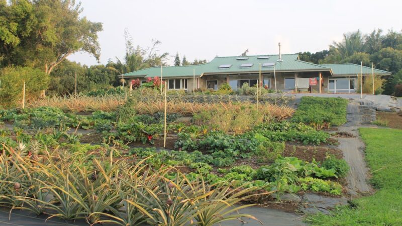 Lokahi Garden Sanctuary (Farm Tours and Massage/Spa Treatments) - Hawi, HI