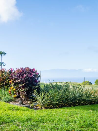 Lokahi Garden Sanctuary (Farm Tours and Massage/Spa Treatments) - Hawi, HI