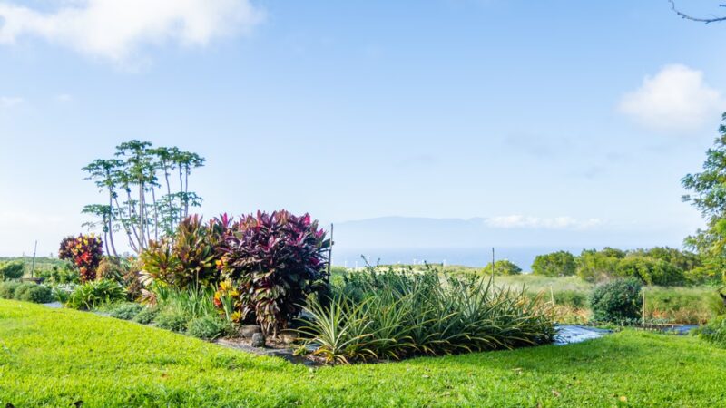 Lokahi Garden Sanctuary (Farm Tours and Massage/Spa Treatments) - Hawi, HI