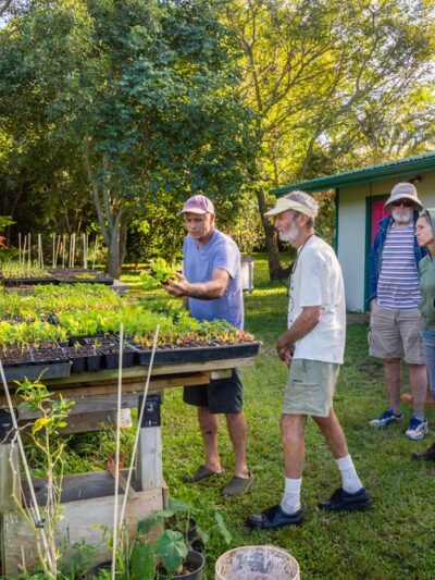 Lokahi Garden Sanctuary (Farm Tours and Massage/Spa Treatments) - Hawi, HI