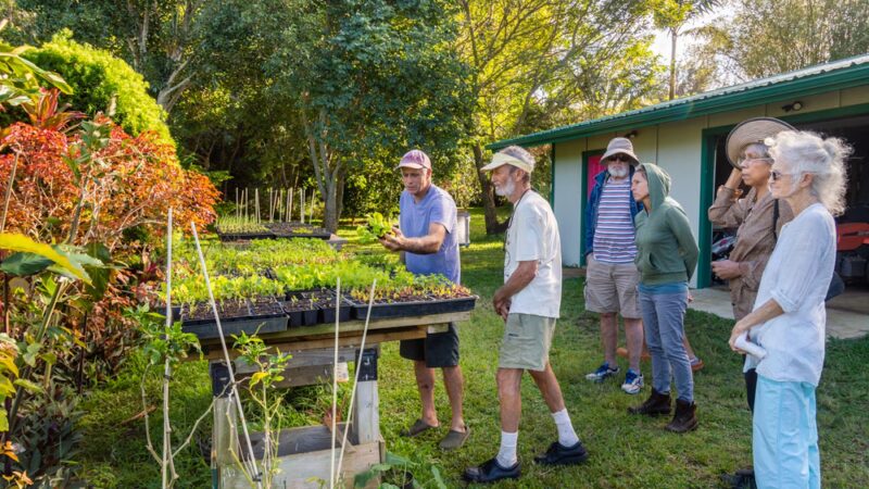 Lokahi Garden Sanctuary (Farm Tours and Massage/Spa Treatments) - Hawi, HI