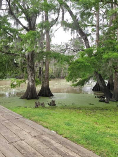Lorrain Parish Park - Hayes, LA