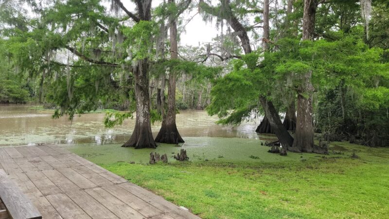 Lorrain Parish Park - Hayes, LA