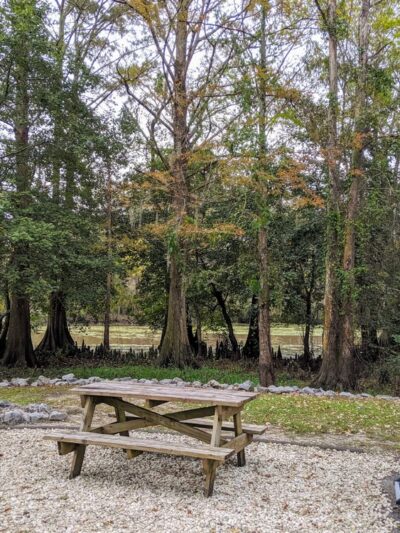 Lorrain Parish Park - Hayes, LA