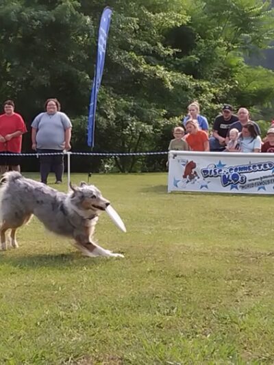 Perry County Park - Hazard, KY