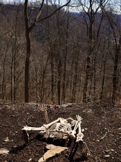 Perry Park Trails Trailhead - Hazard, KY