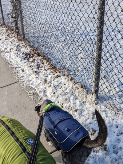 Dog Park - Hazel Park, MI