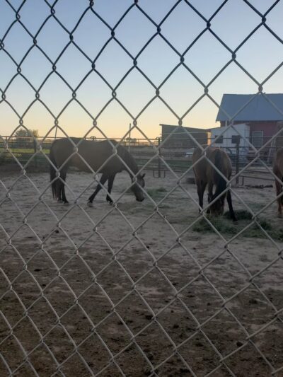 Hazelton City Park - Hazelton, ID